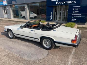 Jaguar XJS Cabrio 5.3 V12 in originele lak, tip-top in orde! beschikbaar voor biedingen