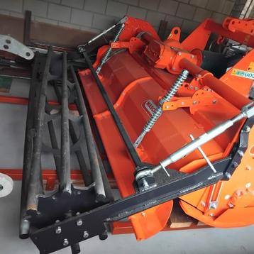maschio frees beschikbaar voor biedingen