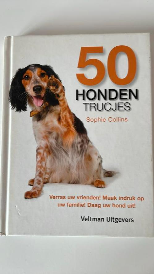 Sophie Collins - 50 Hondentrucjes, Boeken, Dieren en Huisdieren, Zo goed als nieuw, Honden, Ophalen
