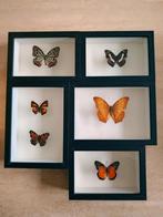 Cadre papillon, Huis en Inrichting, Ophalen, Zo goed als nieuw