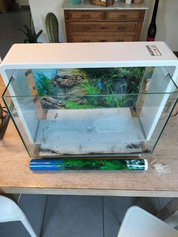 aquarium superfish home 60 aquascaping, Dieren en Toebehoren, Ophalen, Gebruikt, Leeg aquarium