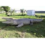 Krokodil 12 meter - levensecht krokodil beeld XXL, Verzamelen, Dierenverzamelingen, Ophalen, Nieuw
