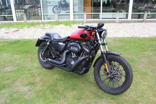 Harley-Davidson Sportster 883 Iron, Motos, Motos | Harley-Davidson, Entreprise, Chopper