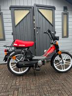 Honda Camino Custom, klasse b, Enlèvement