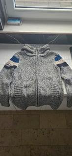 Gilet, Kleding | Heren, Truien en Vesten, Ophalen of Verzenden