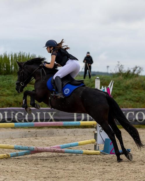 Jument ONC noire 10 ans, Dieren en Toebehoren, Paarden, Merrie, Niet van toepassing, Minder dan 160 cm, 7 tot 10 jaar