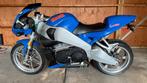 buell, Motoren, Motoren | Buell, 2 cilinders, Sport, Particulier, Meer dan 35 kW