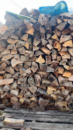 Hoogwaardig DROOG & Halfdroog Brandhout, Tuin en Terras, 6 m³ of meer, Ophalen of Verzenden, Beukenhout, Blokken