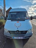Mercedes Sprinter 313cdi, Achat, 3 places, Boîte manuelle, Diesel