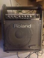 Roland pm-30 drum monitor, Muziek en Instrumenten, Ophalen, Gebruikt, Minder dan 500 watt, Monitor(versterker)