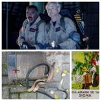 666) Old school ( L'Insuperabile ) Ghostbuster proton pack, Ophalen