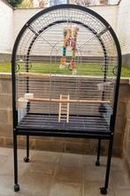 Grande cage perruche / perroquet, Enlèvement ou Envoi, Neuf, Cage à oiseaux