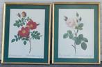 2 lithographie rosier, Antiek en Kunst, Ophalen of Verzenden