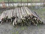 Gratis Houten palen & ijzerdraad/spanners (GEEN BRANDHOUT!), Ophalen, Gebruikt, Palen