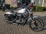 Harley Davidson Sportster 1200 Iron '20 900km, Motos, Motos | Harley-Davidson, 2 cylindres, 1200 cm³, Plus de 35 kW, Chopper