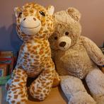 2 lieven beestjes wie geeft ze een nieuw huis., Tickets & Billets