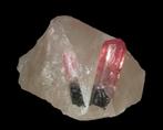 Twee ELBAIET kristallen op KWARTS uit Madagaskar., Ophalen of Verzenden, Mineraal