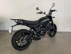 Ducati Scrambler, Motos, Motos | Ducati, Permis Moto A, Entreprise, Plus de 35 kW, 2 cylindres