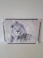 Canvas Leeuw, Huis en Inrichting, Woonaccessoires | Schilderijen, Tekeningen en Foto's, Ophalen, Nieuw