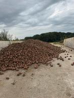 Voederbieten te koop, Ophalen