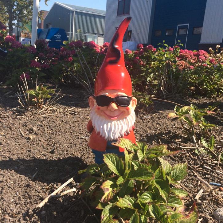 Gouden tuinkabouter met zonnebril – 47 cm – Tuindecoratie, Tuin en Terras, Tuinbeelden, Nieuw, Tuinkabouter, Kunststof, Ophalen of Verzenden