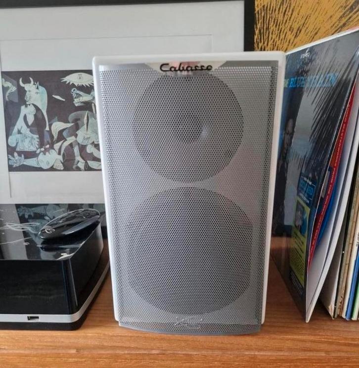Cabasse Surf Franse High End Bookshelfspeakers, Audio, Tv en Foto, Luidsprekerboxen, Ophalen of Verzenden