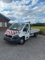 TE KOOP: Fiat Ducato Enkelcabine, Auto's, Voorwielaandrijving, Bedrijf, Grijs, 2 deurs
