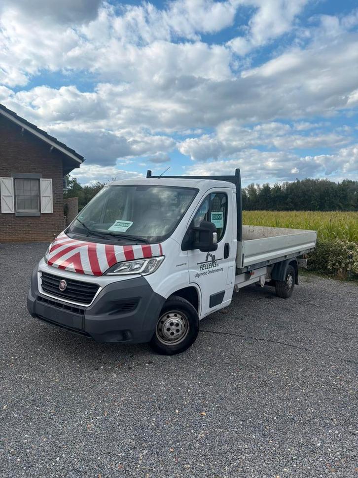 Fiat Ducato camionette, Auto's, Bestelwagens en Lichte vracht, Bedrijf, Fiat, Diesel, 2 deurs, Handgeschakeld, Wit, Grijs, Kunstmatig leder