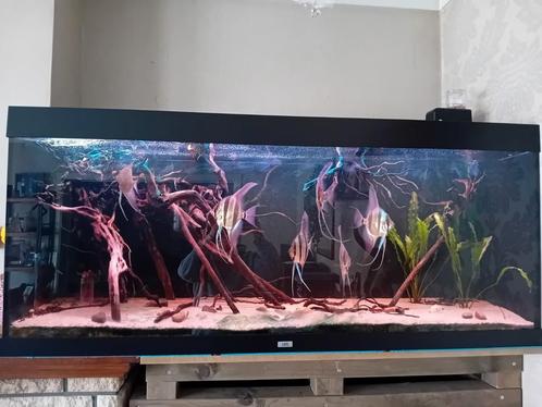 Juwel rio 400 met toebehoren, Dieren en Toebehoren, Vissen | Aquaria en Toebehoren, Gebruikt, Ophalen