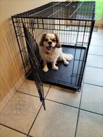 Grote hondenbench, zo goed als nieuw, met bijhorende ligmat, Dieren en Toebehoren, Ophalen, Zo goed als nieuw