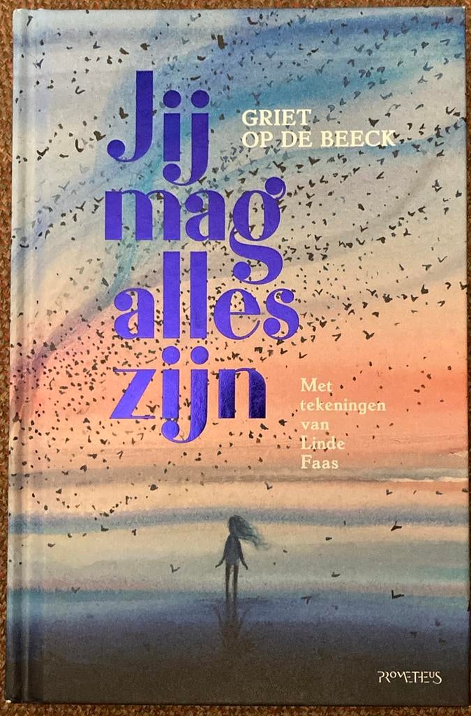 Griet Op de Beeck - Jij mag alles zijn, Boeken, Ophalen of Verzenden, Griet Op de Beeck