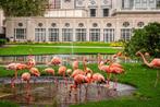 2 tickets volwassene ZOO Antwerpen of Planckendael, Twee personen, Dierentuinbon