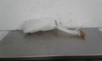 RUITENSPROEIERRESERVOIR VOOR Renault Clio III (BR / CR), Gebruikt, Renault
