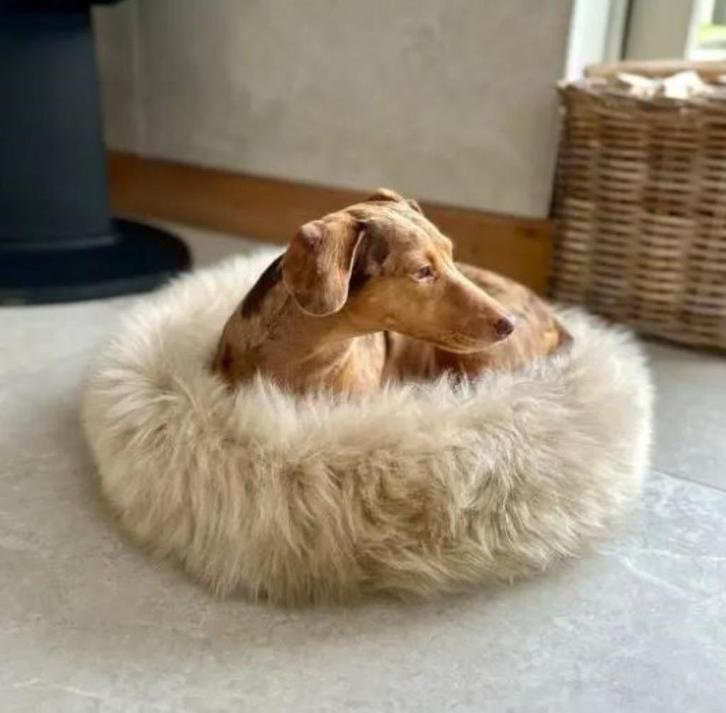 100% Schapenvacht Hondenmand Kattenmand Natuurlijk en gezond, Dieren en Toebehoren, Hondenmanden, Nieuw, Overige, Ophalen of Verzenden