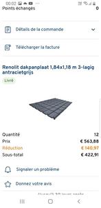 Renolit Dakpanplaat antracietgrijs., Doe-het-zelf en Bouw, Zo goed als nieuw, Grijs