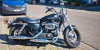 Sportster xl 1200 custom, Motoren, Particulier