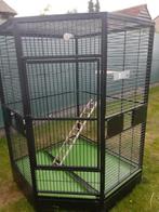 Nouvelle taille de cage à oiseaux : offre de 900 euros, Animaux & Accessoires, Utilisé, Enlèvement ou Envoi, Cage à oiseaux