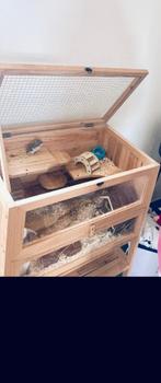 Hamsterkooi hout, Dieren en Toebehoren, Ophalen of Verzenden, Gebruikt, Kooi, Hamster