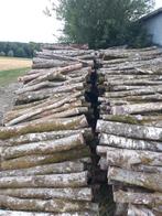 bois chauffage, Tuin en Terras, Brandhout, Ophalen, Berkenhout, Takken