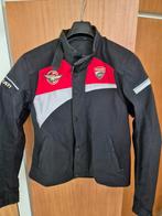 Ducati corse vest, Motoren