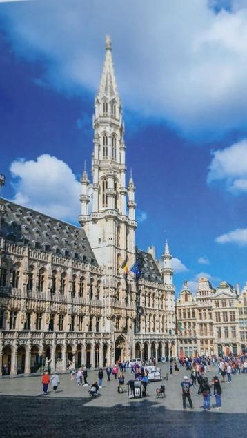 Puzzel negen de Grote Markt van Brussel 1000 stukjes beschikbaar voor biedingen