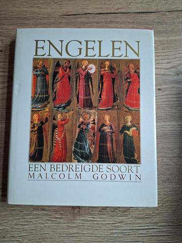 Boek :Engelen, een bedreigde soort  / Malcolm Godwin beschikbaar voor biedingen