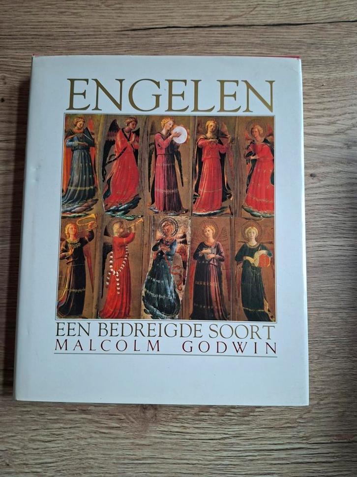 Boek :Engelen, een bedreigde soort  / Malcolm Godwin, Boeken, Godsdienst en Theologie, Zo goed als nieuw, Ophalen of Verzenden