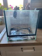 Terrarium, Ophalen, Zo goed als nieuw, Verlichting