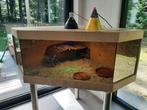 Luxe reptielen of knaagdierenverblijf, Ophalen, Zo goed als nieuw, Terrarium of Paludarium