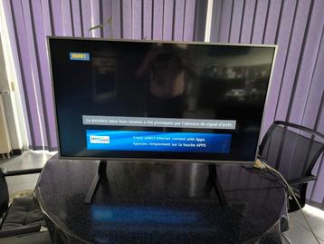 Superbe TV Panasonic état nickel  beschikbaar voor biedingen