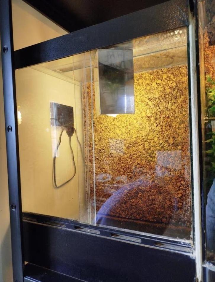 Terrarium, Dieren en Toebehoren, Reptielen en Amfibieën | Toebehoren, Gebruikt, Terrarium of Paludarium, Ophalen