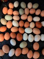 Bio eitjes te koop, Diversen, Levensmiddelen, Ophalen of Verzenden