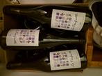 Vin rouge 10 bouteilles, Pleine, France, Enlèvement, Vin rouge