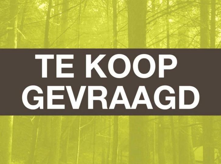 Articles militaires et de chasse recherchés - antiquités, Antiquités & Art, Antiquités | Autres Antiquités, Enlèvement